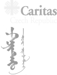 Partner logo